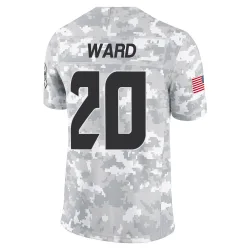 Houston Texans Men's Limited Arctic Camo 2024 Salute to Service Jersey (20 Jimmie Ward)